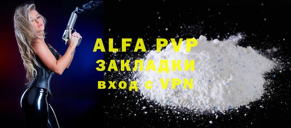 прущие грибы Абаза