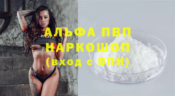 прущие грибы Абаза
