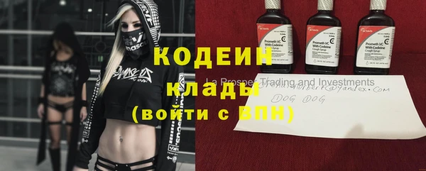 прущие грибы Абаза