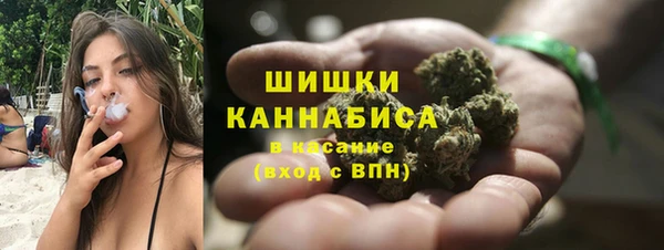прущие грибы Абаза