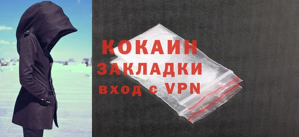 прущие грибы Абаза