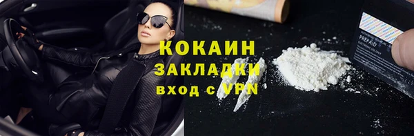 прущие грибы Абаза
