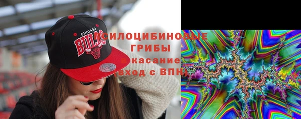 прущие грибы Абаза