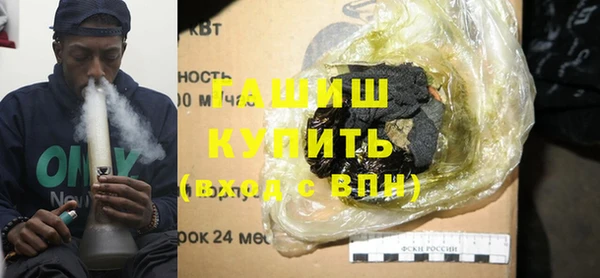 прущие грибы Абаза